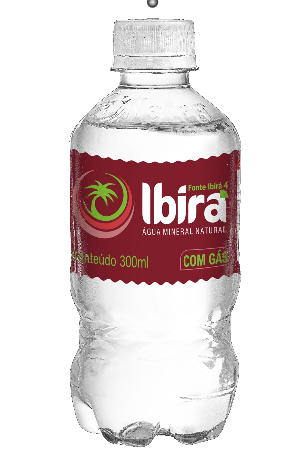 Garrafa 300ml Com Gás
