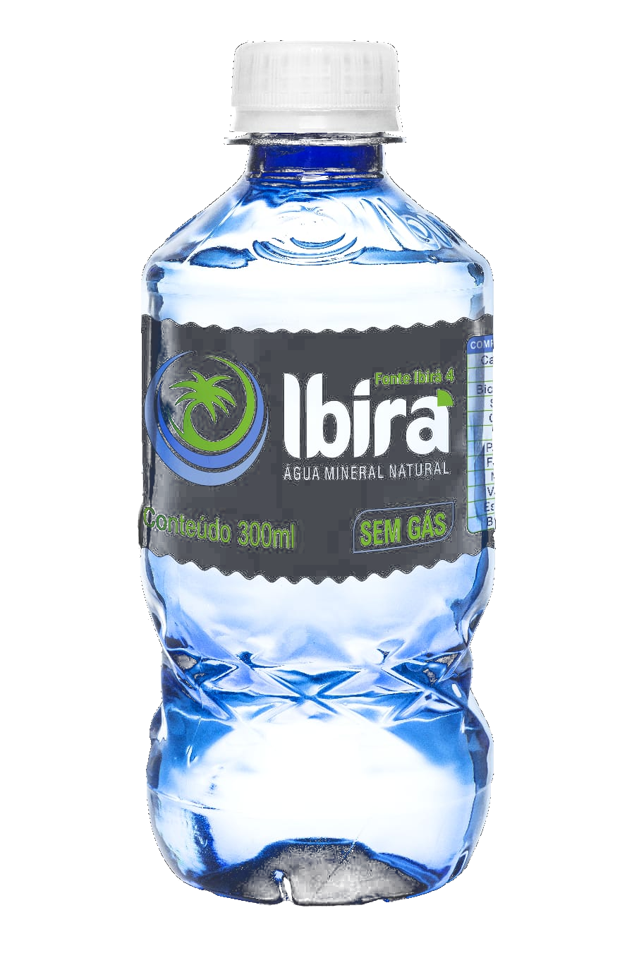 Garrafa 300ml Sem Gás